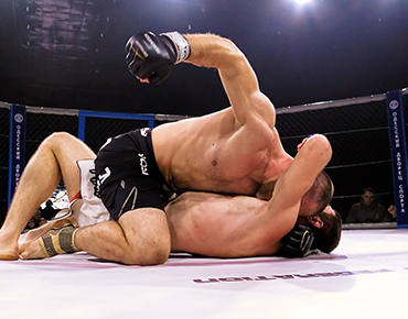 Etiam dignissim velit sed.